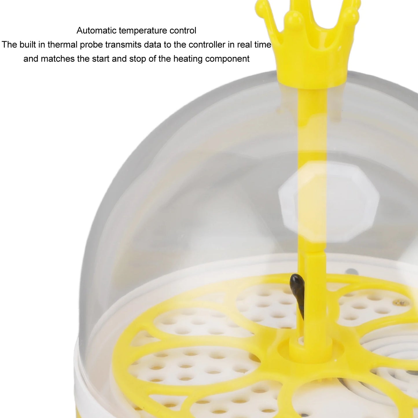 Mini Automatic Egg Incubator