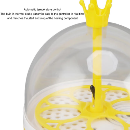 Mini Automatic Egg Incubator