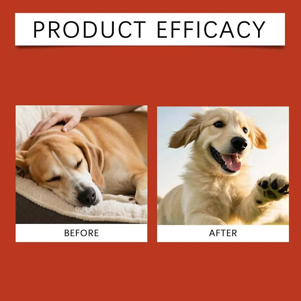 Dog Probiotic Gut Health Granules