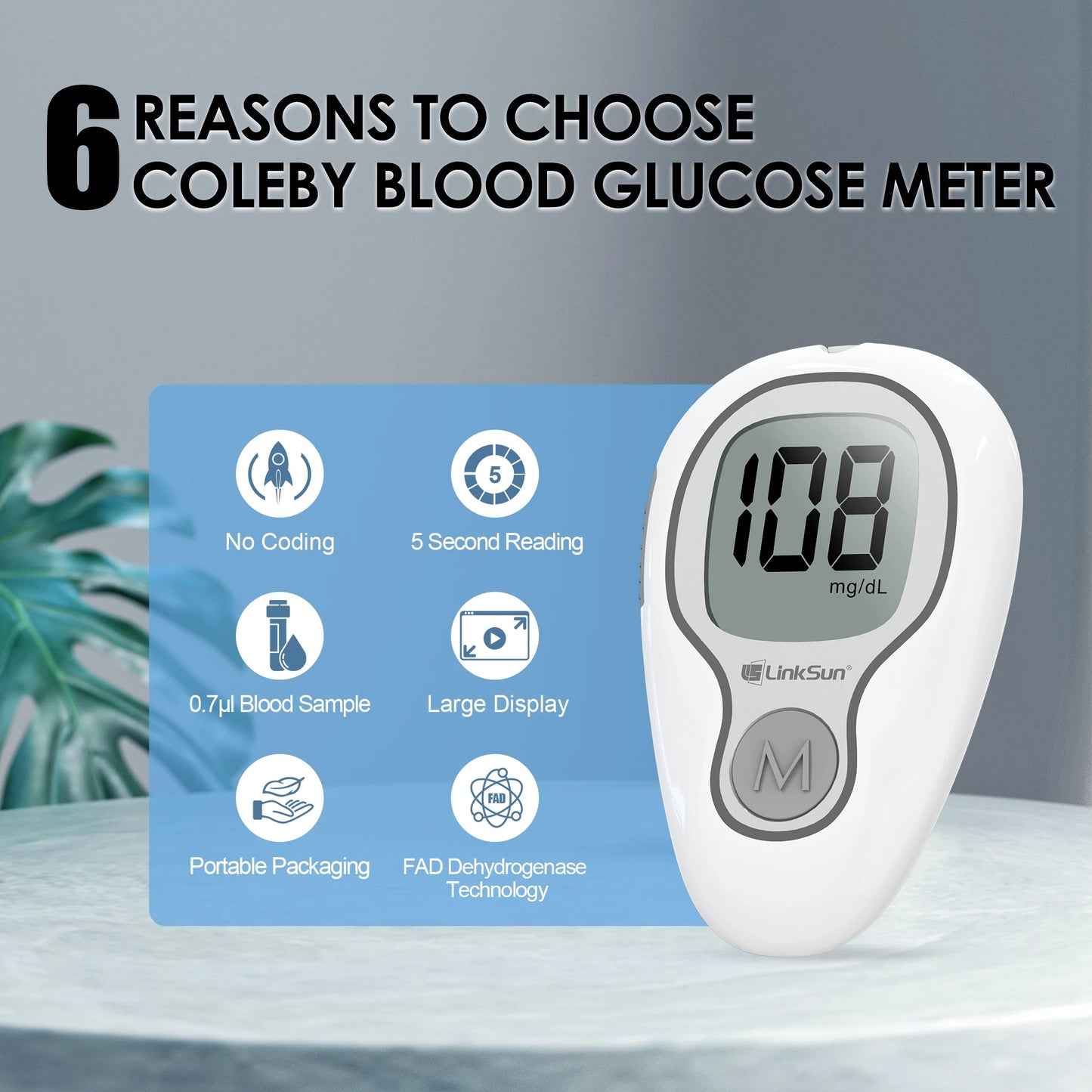 Blood Glucose Monitoring Kit