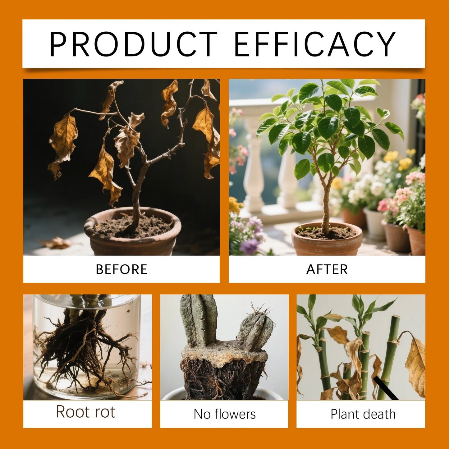 Plant Root Growth Enhancer Powder