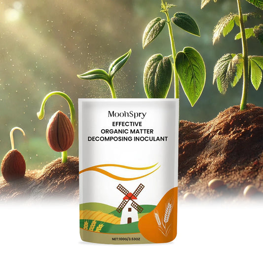 Plant Root Growth Enhancer Powder