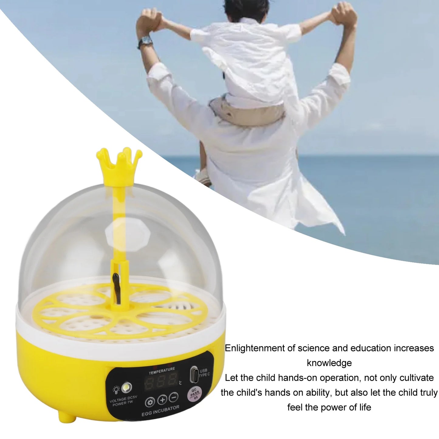 Mini Automatic Egg Incubator